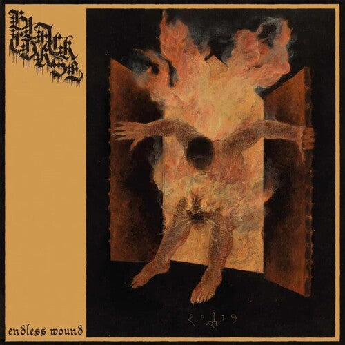 Black Curse - Endless Wound (Vinyl) { vinyl }