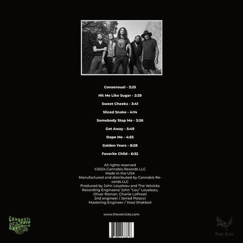 The Velvicks - Greatest Hits (Vinyl) { vinyl }