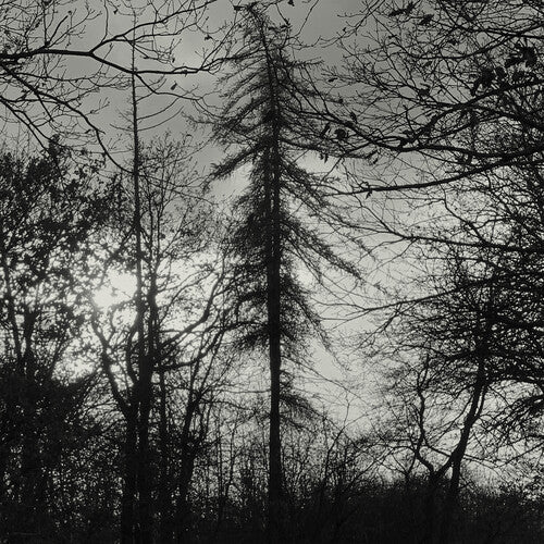 Curse All Kings - Feral Earth (Vinyl) { vinyl }