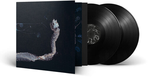 Tenhi - Maaaet (Vinyl) { vinyl }