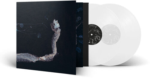 Tenhi - Maaaet (Vinyl) { vinyl }