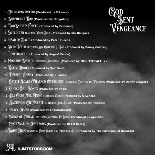 Vinnie Paz - God Sent Vengeance (Vinyl) { vinyl }