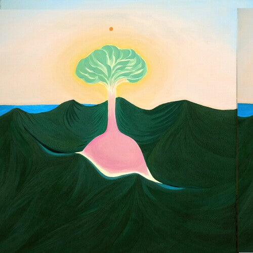 Evisbeats & Nagipan - Suiten (Vinyl) { vinyl }