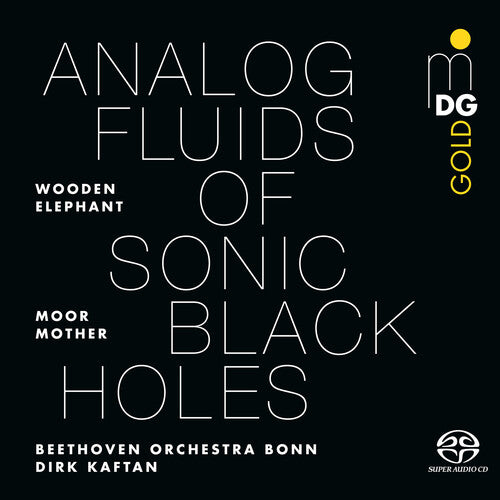 Moor Mother - Analog Fluids of Sonic Black Holes (Vinyl) { vinyl }