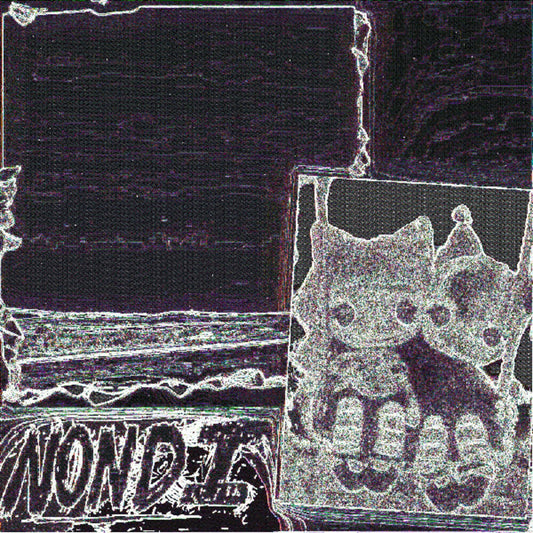 Nondi - Nondi (LP) { vinyl }
