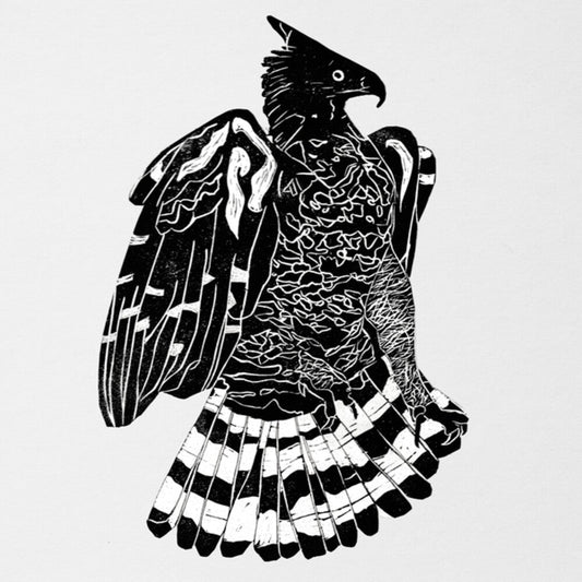 Alpha Steppa & Nai-Jah - Crowned Eagle (LP) { vinyl }