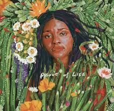 Joy Oladokun- Proof Of Life (Indie Exclusive Vinyl) (Signed Insert) { vinyl }